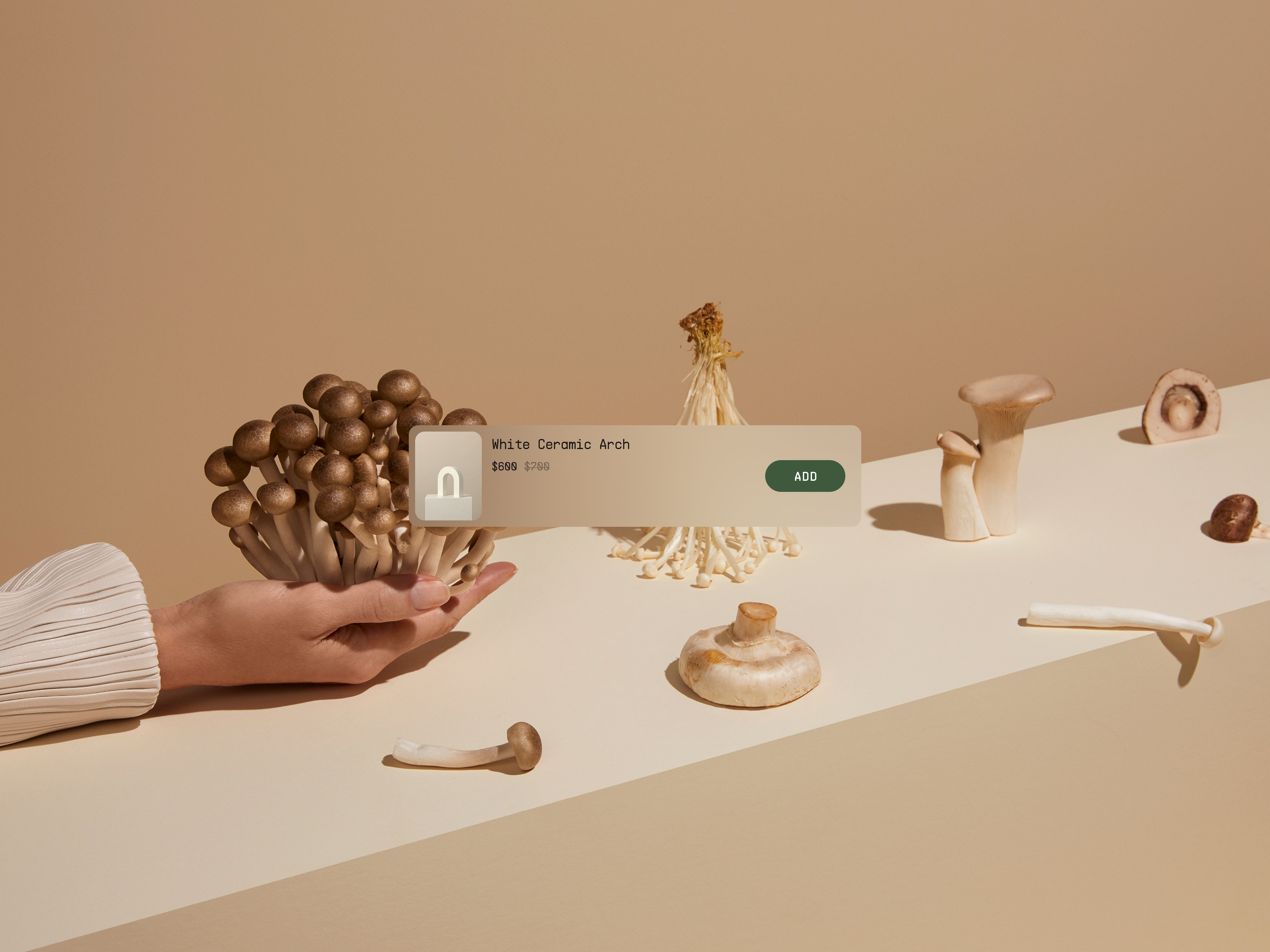 palette website